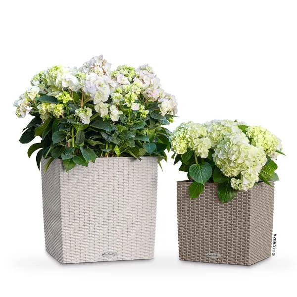 LECHUZA® Pflanzgefäße CUBE Cottage 40 Lichtgrau All-in-One