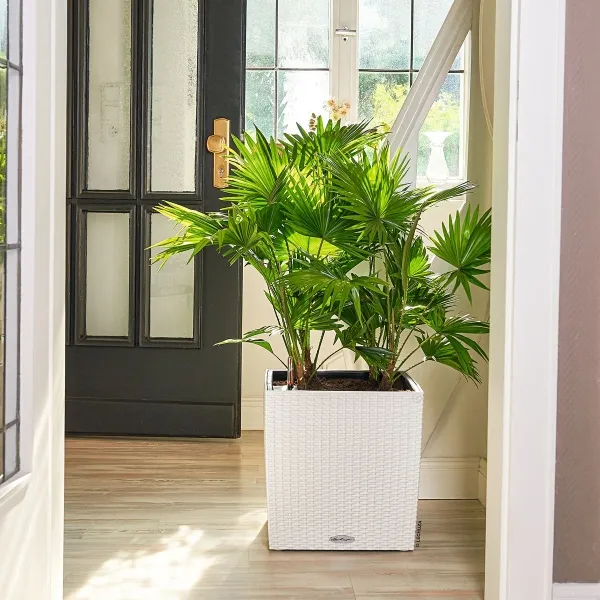 LECHUZA® Pflanzgefäße CUBE Cottage 40 Weiß All-in-One