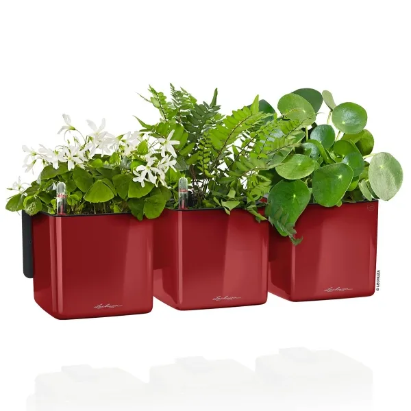 LECHUZA® Pflanzgefäße CUBE Glossy Green Wall Home Kit Scarlet rot hochglänzend