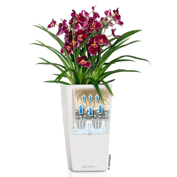 LECHUZA® Pflanzgefäße CUBICO 22 Weiß hochglänzend All-in-One
