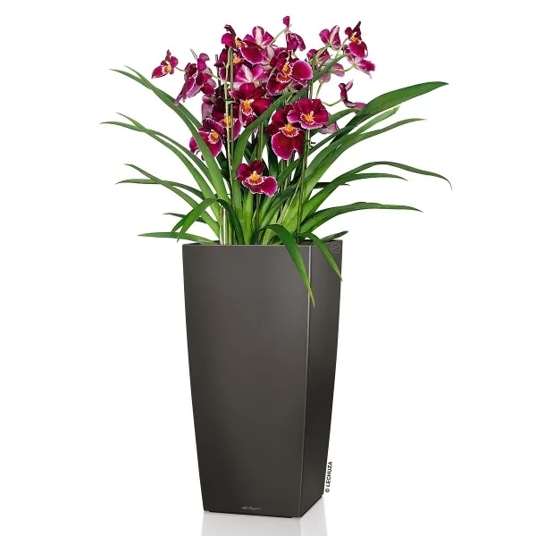 LECHUZA® Pflanzgefäße CUBICO 30 Anthrazit metallic All-in-One