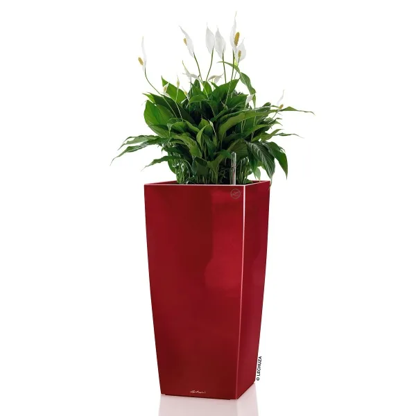 LECHUZA® Pflanzgefäße CUBICO 30 Scarlet rot hochglänzend All-in-One
