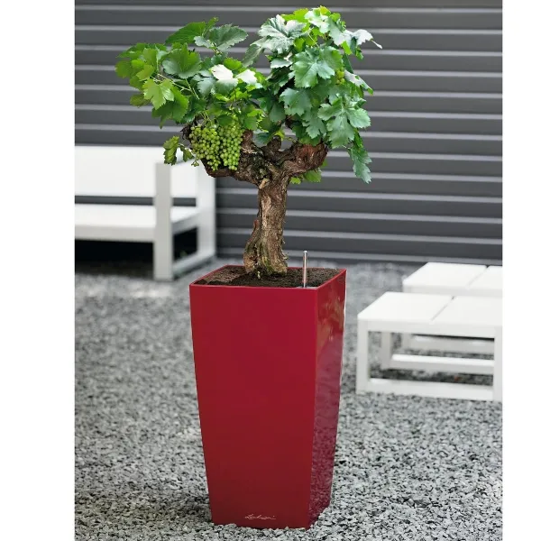 LECHUZA® Pflanzgefäße CUBICO 30 Scarlet rot hochglänzend All-in-One