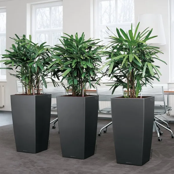LECHUZA® Pflanzgefäße CUBICO 40 Anthrazit metallic All-in-One
