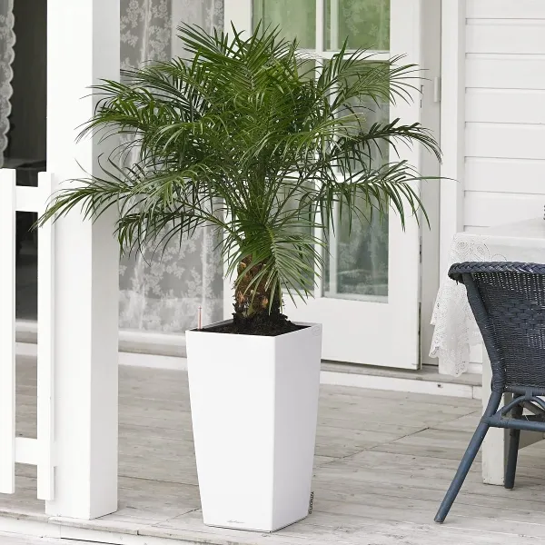 LECHUZA® Pflanzgefäße CUBICO 40 Weiß hochglänzend All-in-One