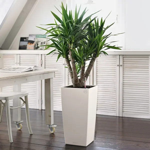 LECHUZA® Pflanzgefäße CUBICO Color 30 Weiß seidenmatt All-in-One