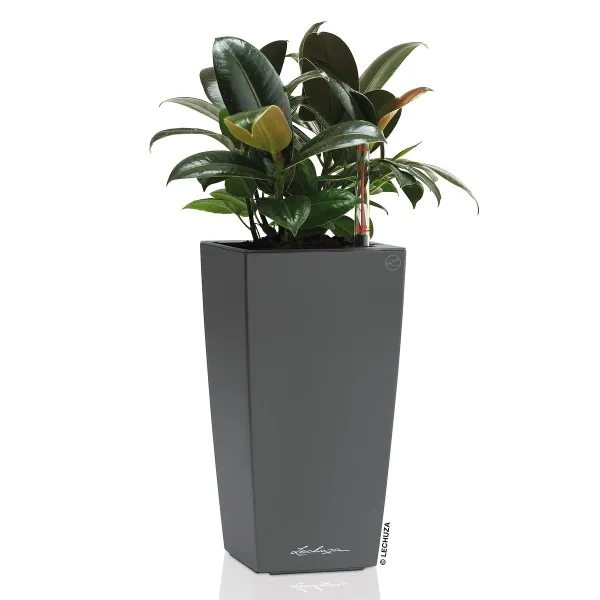 LECHUZA® Pflanzgefäße MAXI-CUBI Anthrazit metallic All-in-One