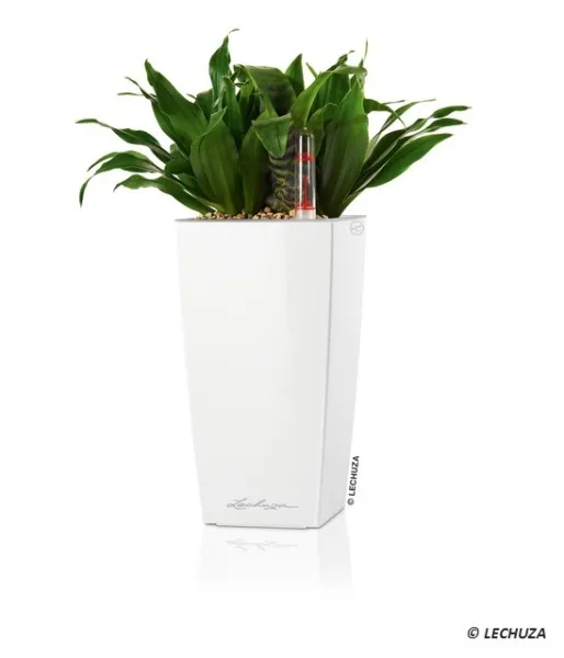 LECHUZA® Pflanzgefäße MAXI-CUBI Weiß hochglänzend All-in-One