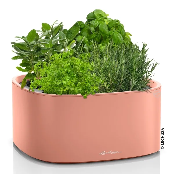 LECHUZA® Pflanzgefäße PILA Color Stick 35 Korallrot