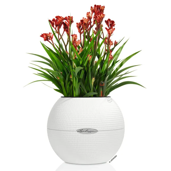 LECHUZA® Pflanzgefäße PURO Color 20 Weiß All-in-One