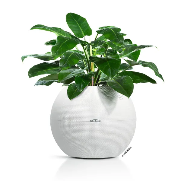 LECHUZA® Pflanzgefäße PURO Color 50 Weiß All-in-One