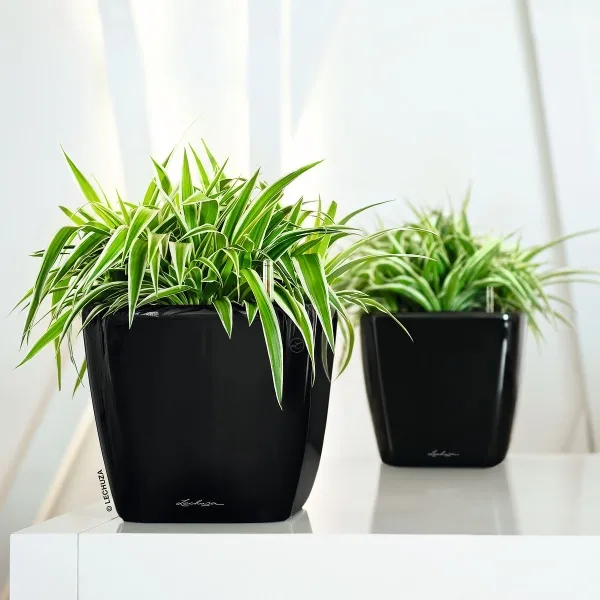 LECHUZA® Pflanzgefäße QUADRO LS 21 Schwarz hochglänzend All-in-One