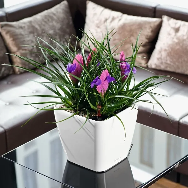 LECHUZA® Pflanzgefäße QUADRO LS 21 Weiß hochglänzend All-in-One