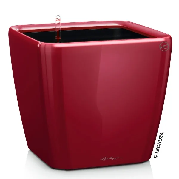LECHUZA® Pflanzgefäße QUADRO LS 35 Scarlet rot hochglänzend All-in-One LECHUZA® Pflanzgefäße QUADRO LS 35 Scarlet rot hochglänzend All-in-One