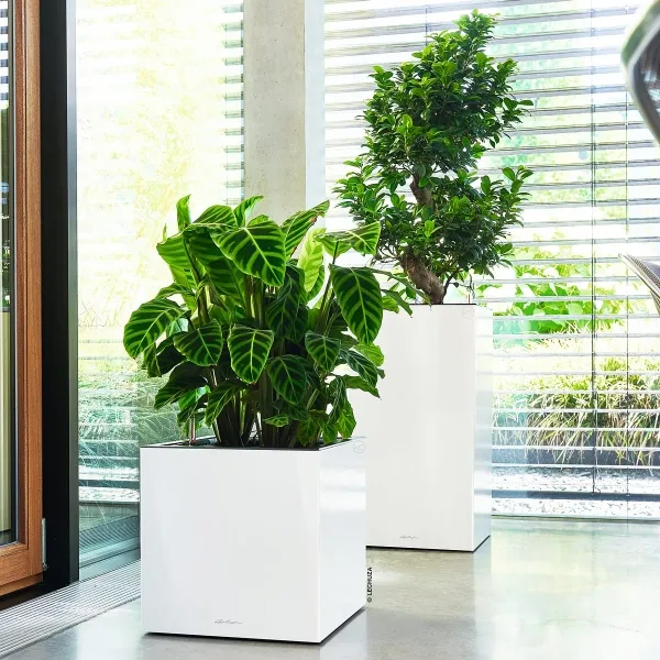 LECHUZA® Pflanzsäule CANTO Premium 40 High Weiß hochglänzende Oberfläche All-in-One