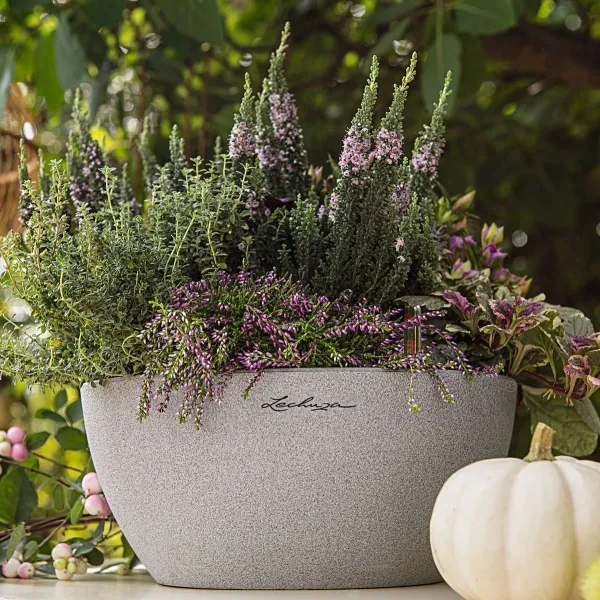 LECHUZA® Pflanzschalen CUBETO Stone 30 Steingrau All-in-One