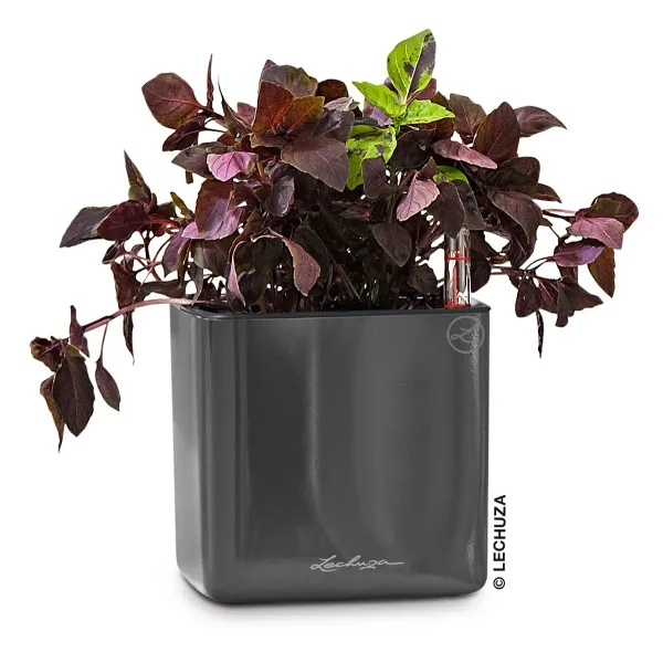 LECHUZA® Tischgefäße CUBE Glossy 14 Anthrazit hochglänzend
