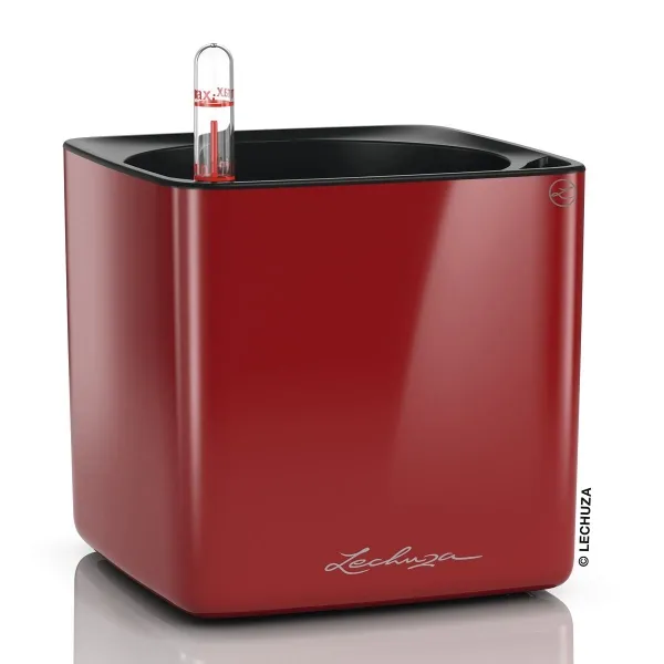 LECHUZA® Tischgefäße CUBE Glossy 14 Scarlet rot hochglänzend LECHUZA® Tischgefäße CUBE Glossy 14 Scarlet rot hochglänzend