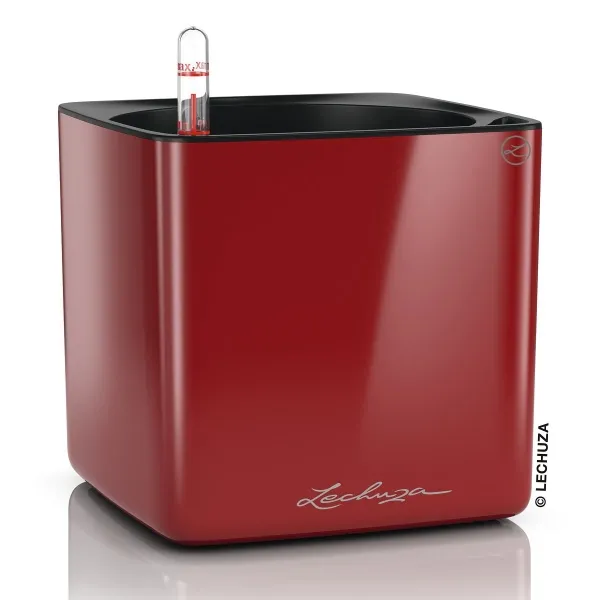 LECHUZA® Tischgefäße CUBE Glossy 16 Scarlet rot hochglänzend LECHUZA® Tischgefäße CUBE Glossy 16 Scarlet rot hochglänzend