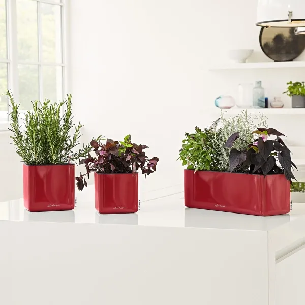 LECHUZA® Tischgefäße CUBE Glossy 16 Scarlet rot hochglänzend