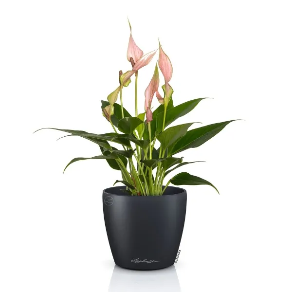 LECHUZA® Übertopf CLASSICO Color DECO 10 Schiefergrau Ø 11 cm - Kunststoff