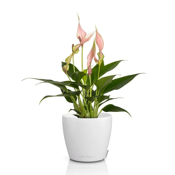 LECHUZA® Übertopf CLASSICO Color DECO 10 Weiß Ø 11 cm - Kunststoff