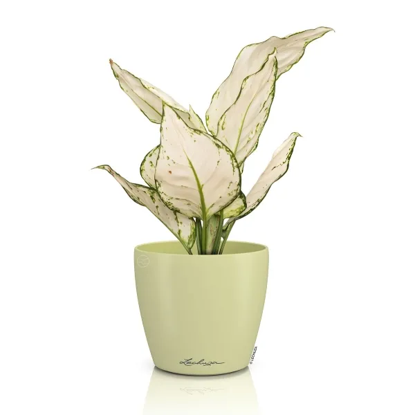 LECHUZA® Übertopf CLASSICO Color DECO 12 Linde pastellgrün Ø 13 cm - Kunststoff