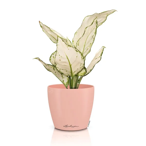 LECHUZA® Übertopf CLASSICO Color DECO 12 Magnolie lachsrosa Ø 13 cm - Kunststoff