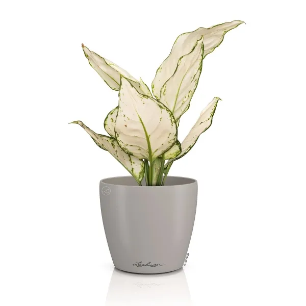 LECHUZA® Übertopf CLASSICO Color DECO 12 Sandbraun Ø 13 cm - Kunststoff