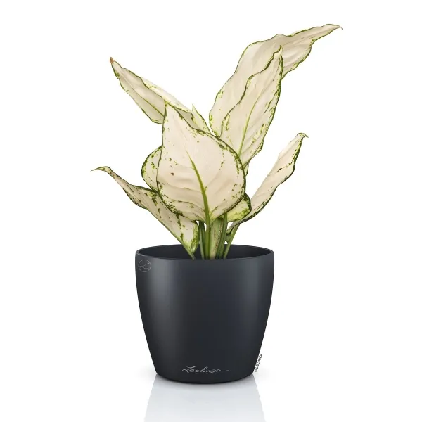 LECHUZA® Übertopf CLASSICO Color DECO 12 Schiefergrau Ø 13 cm - Kunststoff