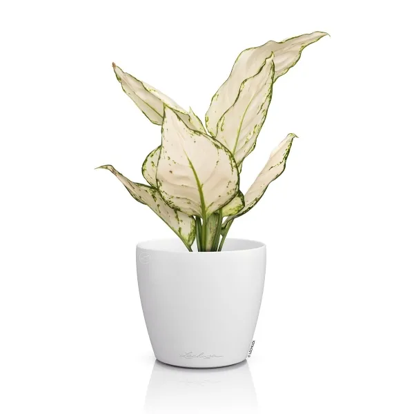LECHUZA® Übertopf CLASSICO Color DECO 12 Weiß Ø 13 cm - Kunststoff