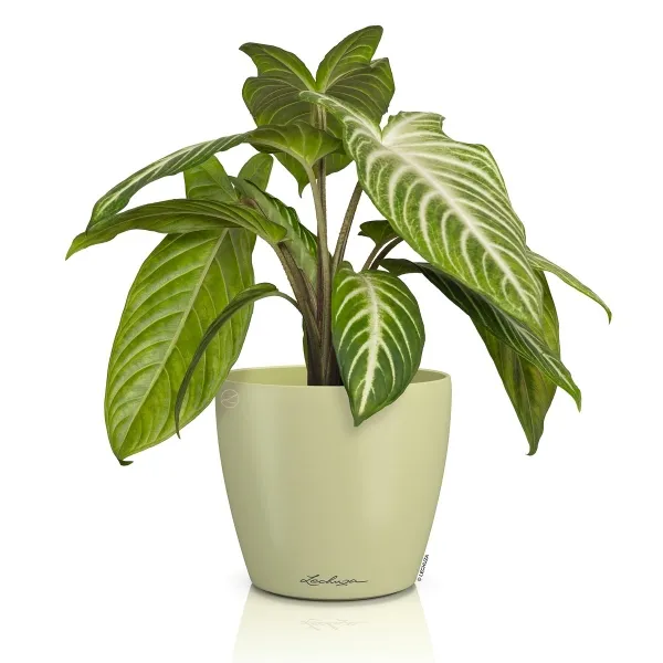 LECHUZA® Übertopf CLASSICO Color DECO 14 Linde pastellgrün Ø 15 cm - Kunststoff