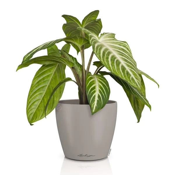 LECHUZA® Übertopf CLASSICO Color DECO 14 Sandbraun Ø 15 cm - Kunststoff
