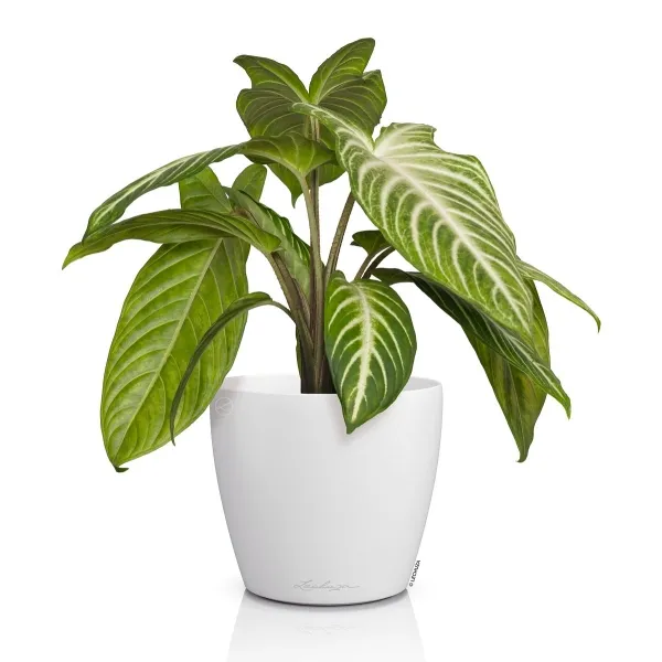 LECHUZA® Übertopf CLASSICO Color DECO 14 Weiß Ø 15 cm - Kunststoff