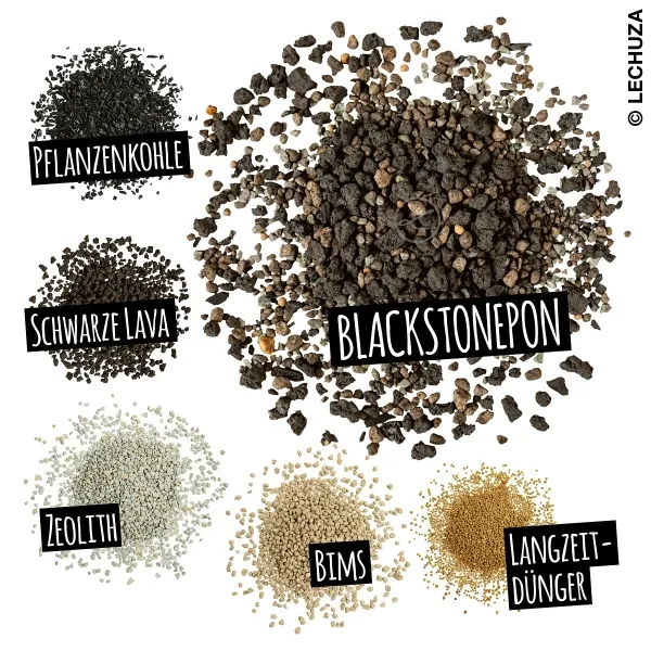 LECHUZA® Zubehör BLACKSTONEPON für alle Zimmerpflanzen 6 Liter