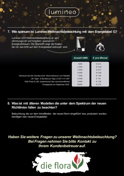 Lumineo Batterie Micro LED Lichterkette Lichterbündel 80 cm 60 Lichter warmweiß