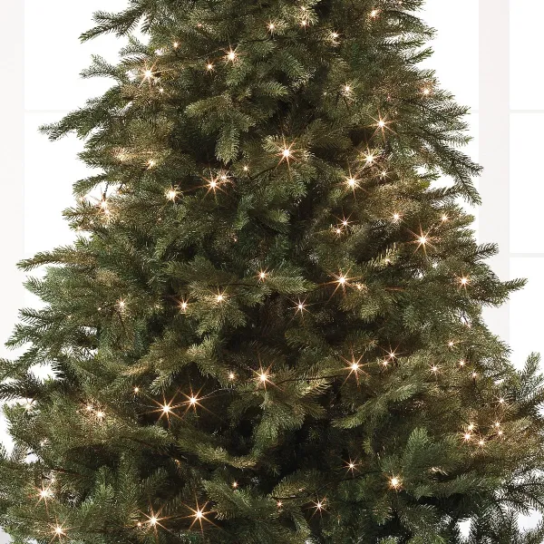 Lumineo LED Lichterkette Basic schwarz 13,5 Meter 180 Lichter - warmweiß
