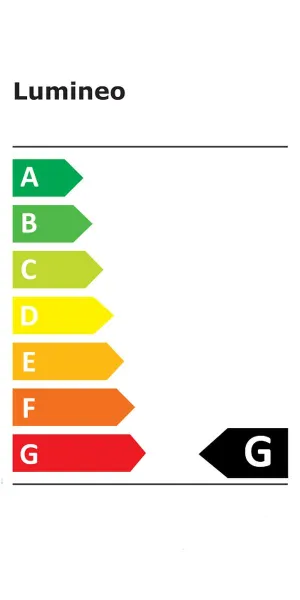 Lumineo LED Lichterkette Cluster Twinkle schwarz 10,5 Meter 1128 Lichter - soft bunt