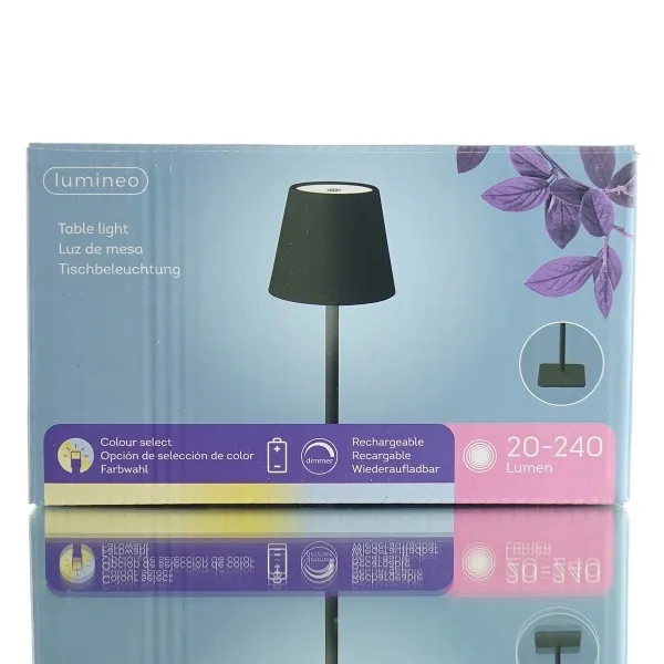Lumineo LED Tischlampe Metall Schwarz mit Verlängerungsstück & USB-Aufladung