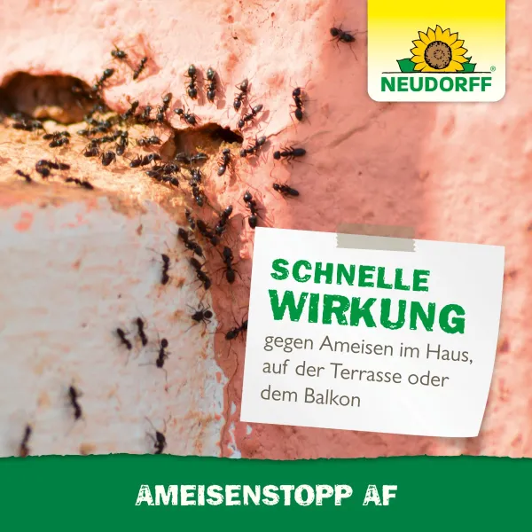 NEUDORFF Ameisen Stopp AF anwendungsfertig