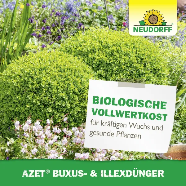 NEUDORFF® Azet® Buxus- & Ilex Dünger BIO logisch - 1,75 kg