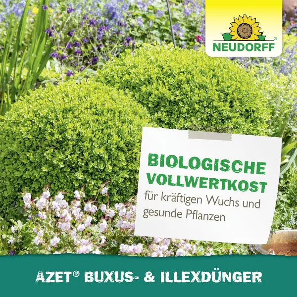 NEUDORFF® Azet® Buxus- & IlexDünger flüssig - 250 ml