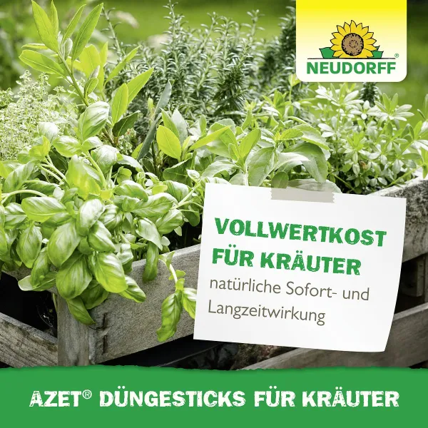 NEUDORFF® Azet® DüngeSticks für Kräuter - 40 Sticks