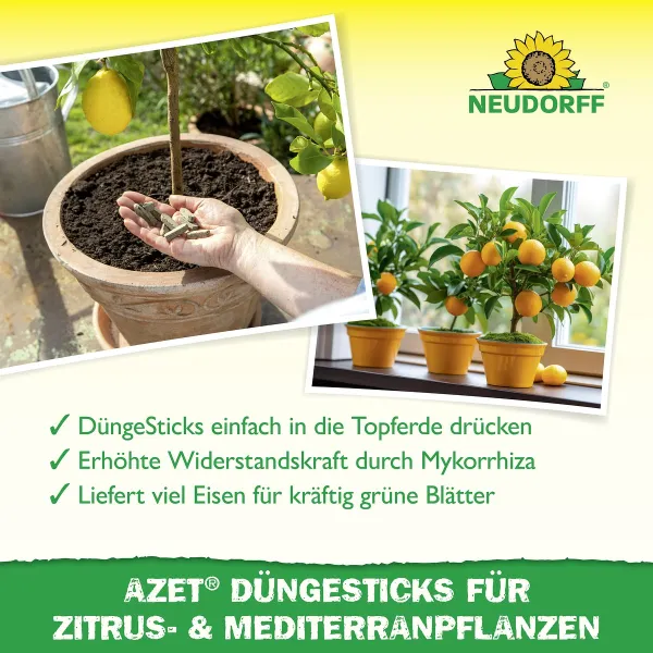NEUDORFF® Azet® DüngeSticks für Zitrus- & Mediterranpflanzen - 40 Sticks