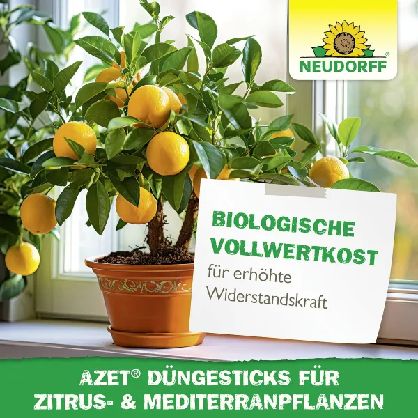 NEUDORFF® Azet® DüngeSticks für Zitrus- & Mediterranpflanzen - 40 Sticks
