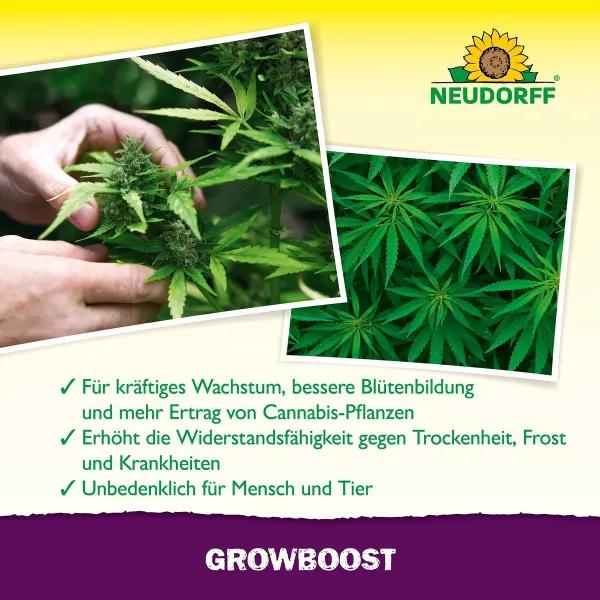 NEUDORFF® Azet® GrowBoost für 18 Setzlinge oder bis zu 4 Pflanzen - 36 g