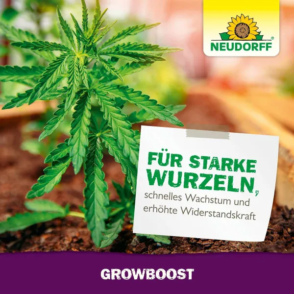 NEUDORFF® Azet® GrowBoost für 18 Setzlinge oder bis zu 4 Pflanzen - 36 g