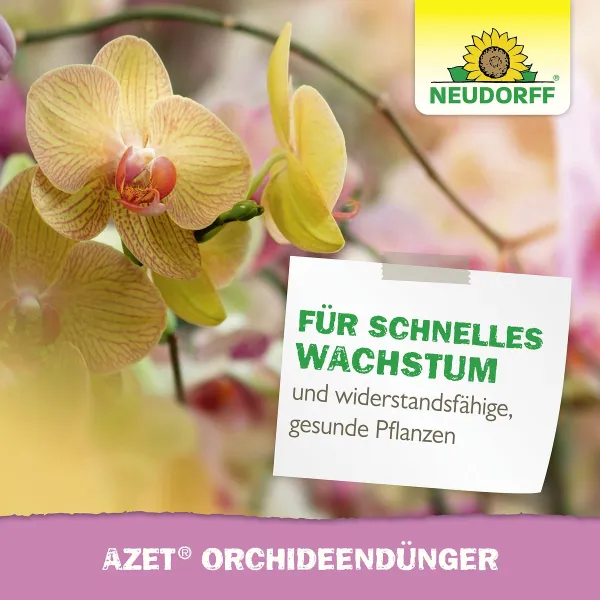 NEUDORFF® Azet® OrchideenDünger 250 ml