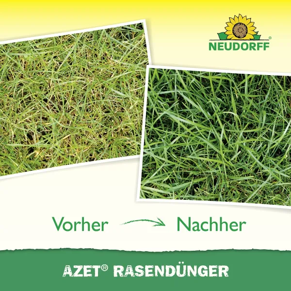 NEUDORFF® Azet® RasenDünger für bis zu 360 m² - 18 kg