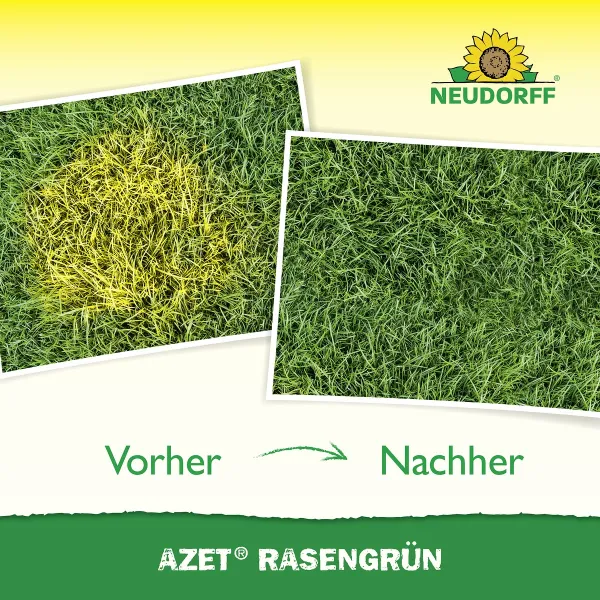 NEUDORFF® Azet® Rasengrün 250 ml für 10 m²